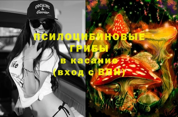 гашиш Михайлов